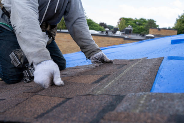 Best Storm Damage Roof Repair  in Lakeview, CA