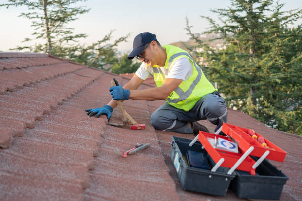 Best Metal Roofing Contractor  in Lakeview, CA